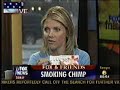 CIGARETTE-SMOKING CHIMP GETS LIFETIME SUPPLY OF GUM