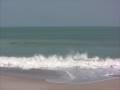Melbourne-Beach-Flor