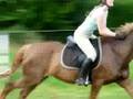cours d'endurance