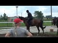 Stajnia Cavaletto - 2009.07.21
