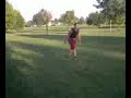 Vinny Tricking Sampler