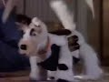 1984 Duracell Commercial