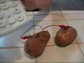 Potato Battery