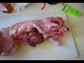 Rabbit Pre-Butchering