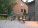 new board sick tricks