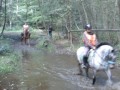 trec 2008 au louchier