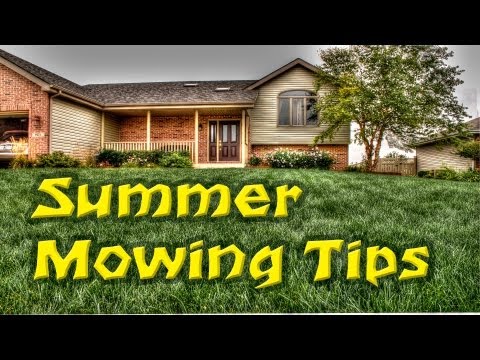 LawnCareMidwest - Let's talk about mowing your lawn a little taller during the summer and why. These summer time lawn mowing tips are simple but important. http://lawncaremidw...