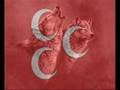 Mustafa Y�ld�zdo�an   Do�uyoruz Ufuklardan   �lk�c� Bozkurt