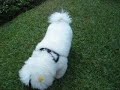 miucha-x-bob-parte-01.html
