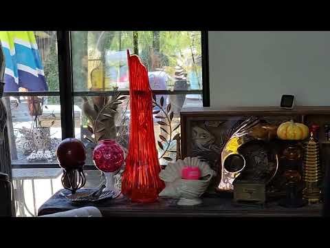 Selfish Squirrel Stealing Spanish Moss | Haydennet.com – Joseph Andrew