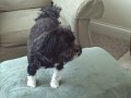 See Video