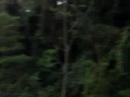 Skycoaster
