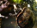 Turtles in Baltimore