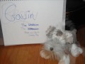 Shannons Other Webkinz! Shannons Other Webkinz!