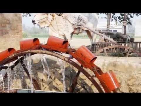 punjabi new song 2014 gallan purania new by Dev dildar Lyrics by Ranjit Grewal Pandori