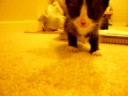 Oliver