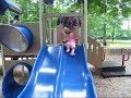 Evie on the slide