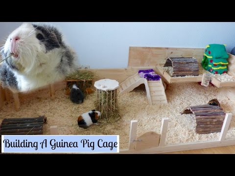 video-linktoworks-How to Build Your Own Wooden Guinea Pig Cage | DIY Cage