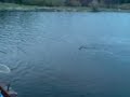 lochore meadows how not to land a fish