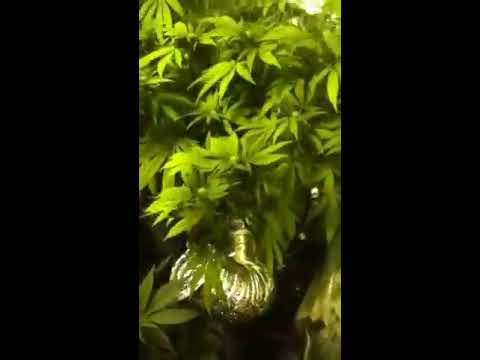 how to vent 400 watt hps