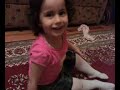 islamın şartı