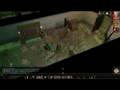 Neverwinter Nights: Tangled