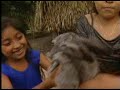 El Conejo Los Cojolites