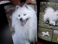 Eskiemoments