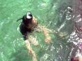 Jose Iorio Snorkeling en Bocas del Toro
