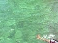 Jose Iorio Snorkeling en Bocas del Toro