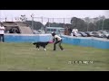 Click here to watch this video 20111110_K9東扇島R2.flv