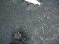 Ice fisching Siika suomi finland part 1