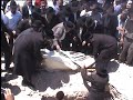 Rabbi Groner\ Rabbi Groner\