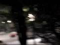 Marley and Me - All my West Chester Raw Footage