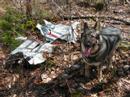 F86-A Sabre Jet Fighter Plane Crash Site, Staceyville ME