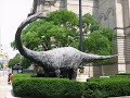 Tribute to one of the gigantic jurassic sauropod - Diplodocus. Song by Antler