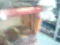 videos de supermarket trip