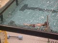 Swim Class \
