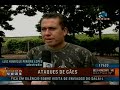 cães treinamento - Henrique Bauru cães treinamento - Henrique Bauru