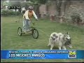 Mushing Peru - Reportajes de Television