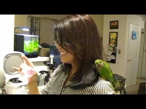 how to test ro water quality