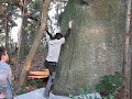 �ˉ͓��̃{���_�[���̂ڂ郌�C�u�� 