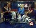 Fox 4 Rising Jewelry Bit