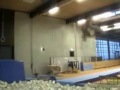 Stuntsampler