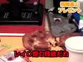 飛騨高山サイコロの旅 プレゼント #2