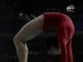 Gymnastics In The Summer Olympics - Part 6 of 16