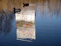 Spooky Water Spooky Water