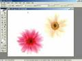 Photoshop Ders 1
