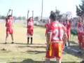 Diablos Rojos Tocho