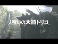 PS3 人喰いの大鷲トリコ TGS2010プロモムービー トリコ